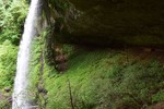 photo thumbnail #13