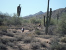 photo thumbnail #2