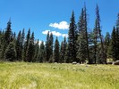 photo thumbnail #12