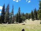 photo thumbnail #13