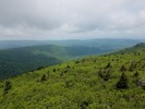 photo thumbnail #14
