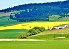 photo thumbnail #9
