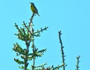 2018-05-25 :: Scenic Drive Pacific Northwest :: tibber