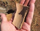 photo thumbnail #5