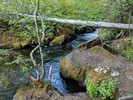 photo thumbnail #5