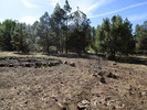 photo thumbnail #15