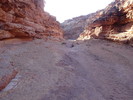 photo thumbnail #14