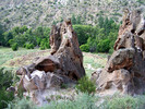 photo thumbnail #6
