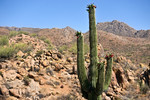 photo thumbnail #8