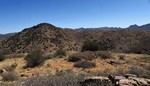 photo thumbnail #10