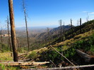 photo thumbnail #2