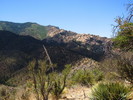photo thumbnail #11