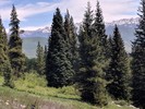 photo thumbnail #6