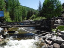 photo thumbnail #11