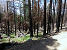 photo thumbnail #1