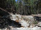 photo thumbnail #9
