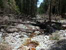 photo thumbnail #10