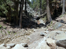 photo thumbnail #11