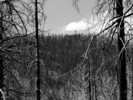 photo thumbnail #12