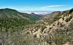 photo thumbnail #15