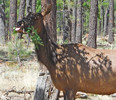 photo thumbnail #6