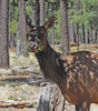 photo thumbnail #7