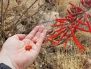 photo thumbnail #6