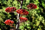 photo thumbnail #8