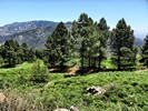 photo thumbnail #13