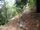 photo thumbnail #8