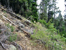 photo thumbnail #14