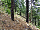 photo thumbnail #15