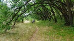 photo thumbnail #5
