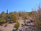 photo thumbnail #6