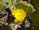 photo thumbnail #7