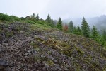 photo thumbnail #12
