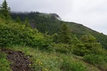 photo thumbnail #13