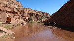 photo thumbnail #9