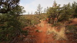 photo thumbnail #6