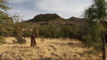 photo thumbnail #8