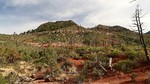 photo thumbnail #10