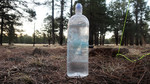 photo thumbnail #13