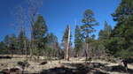 photo thumbnail #15