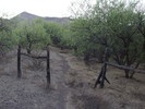 photo thumbnail #7