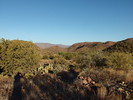 photo thumbnail #9