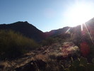 photo thumbnail #10