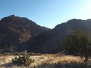 photo thumbnail #11