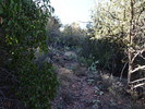 photo thumbnail #12