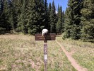 photo thumbnail #7