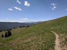 photo thumbnail #9